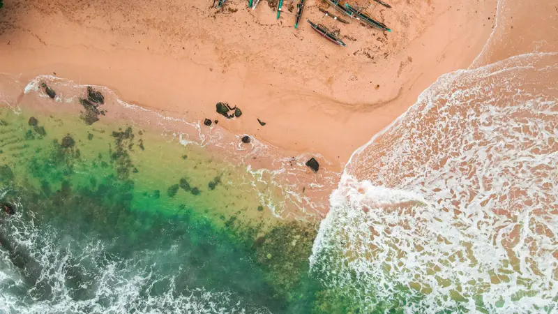 When Is the Best Time to Visit Sri Lanka? A Season-by-Season Guide