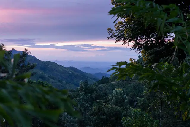 Knuckles Range